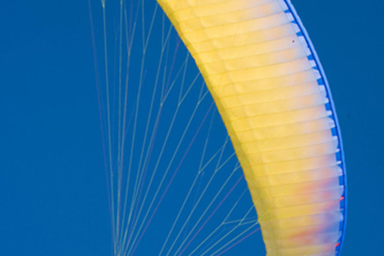 Les Volatiles - photo 2