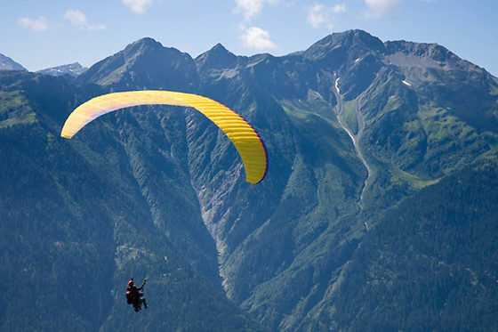 Les Volatiles - photo 1