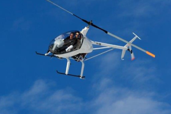 Les Volatiles - photo 10