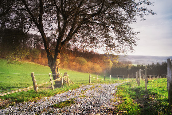 Montes de Laboreiro - photo 21