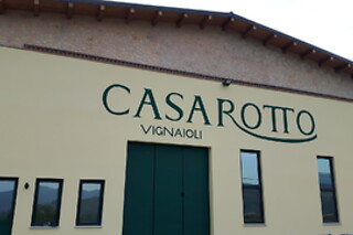 Visita ai vigneti con degustazione e omaggio enologico presso Società Agricola Casarotto in provincia di Verona