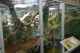 Planet Exotica