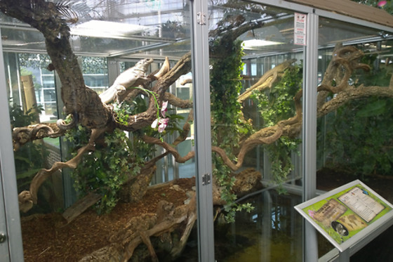 Planet Exotica - photo 8