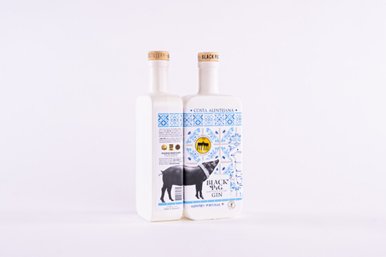 Vila do Gin – Parque Temático Black Pig - photo 6