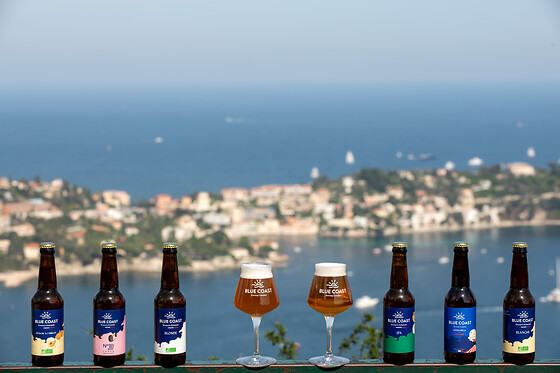 Blue Coast - photo 3
