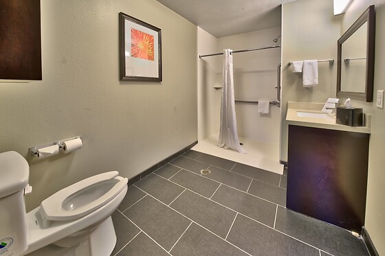 Online Booking EPS - photo 6
