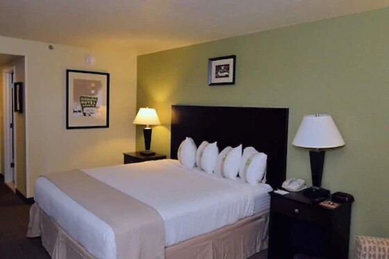 Online Booking EPS - photo 9