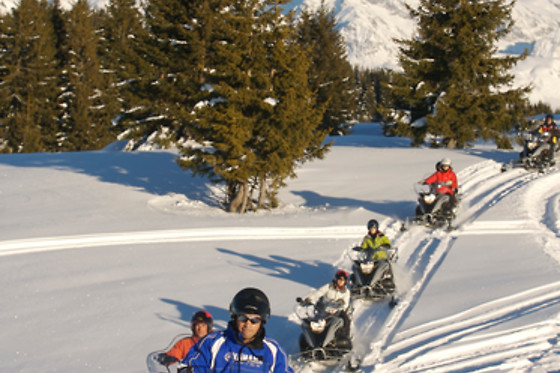 Les Volatiles - photo 1