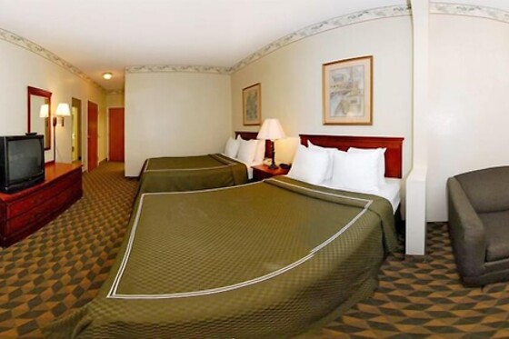 Online Booking EPS - photo 0