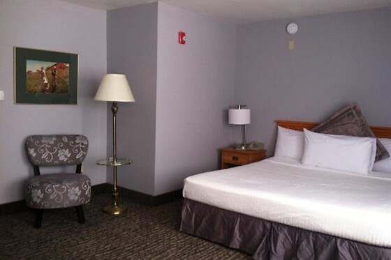 Online Booking EPS - photo 2