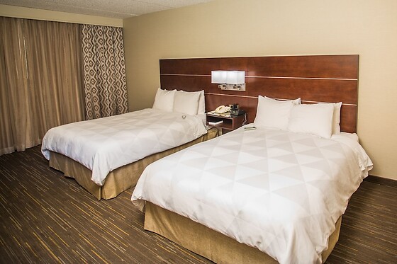Online Booking EPS - photo 1