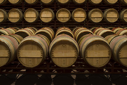 BODEGA MAS LLUNES