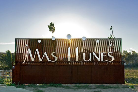 BODEGA MAS LLUNES - photo 1