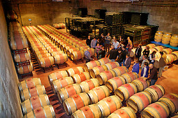 BODEGA MAS LLUNES