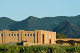 BODEGA MAS LLUNES
