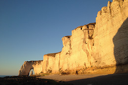 Natterra