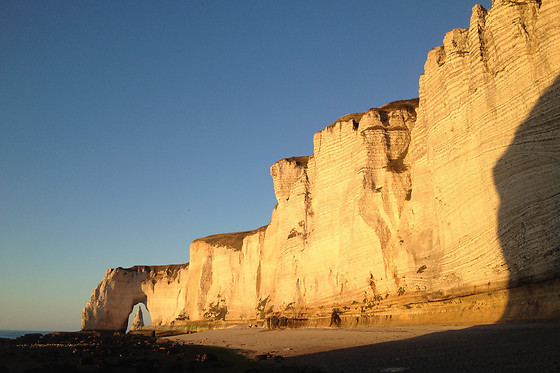 Natterra - photo 16