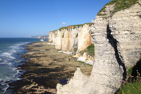 Natterra - photo 13