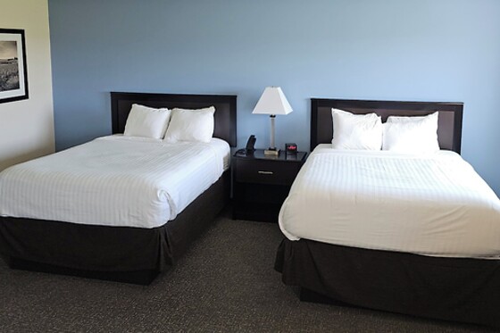 Online Booking EPS - photo 5