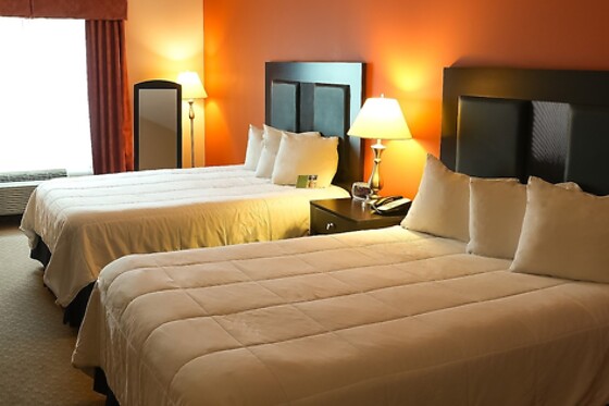 Online Booking EPS - photo 3