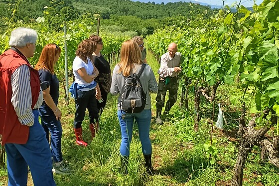 Società Agricola Giovanni Terenzi - photo 2