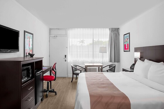 Online Booking EPS - photo 5