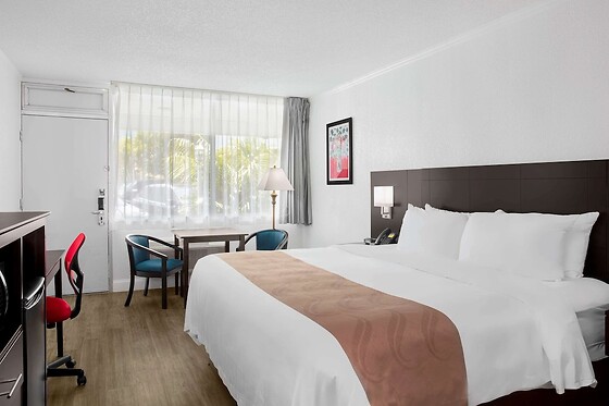 Online Booking EPS - photo 8