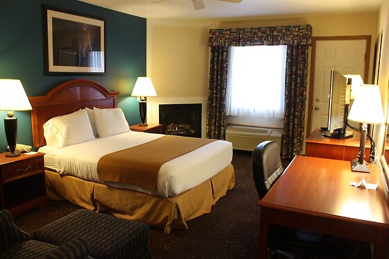 Online Booking EPS - photo 2