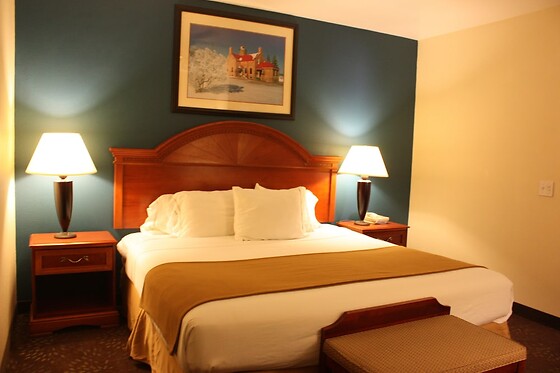 Online Booking EPS - photo 1