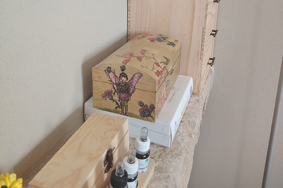 Irisea - photo 4