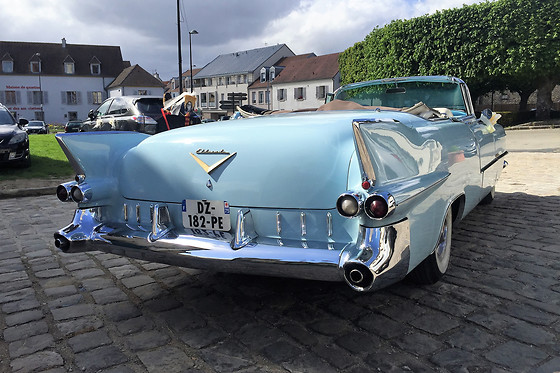 Cady Cruise - photo 4