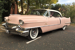 Cady Cruise