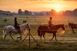 Haras de la Cense