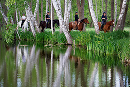 Haras de la Cense