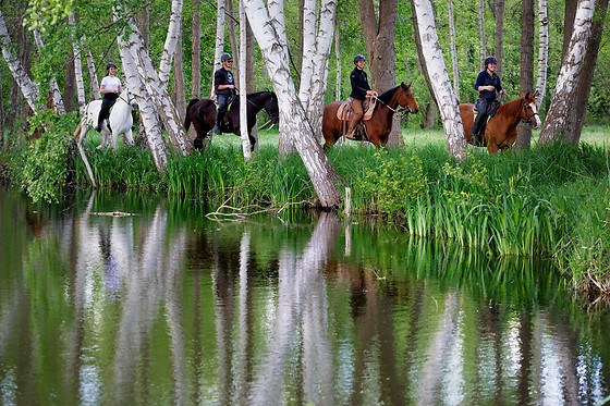 Haras de la Cense - photo 2