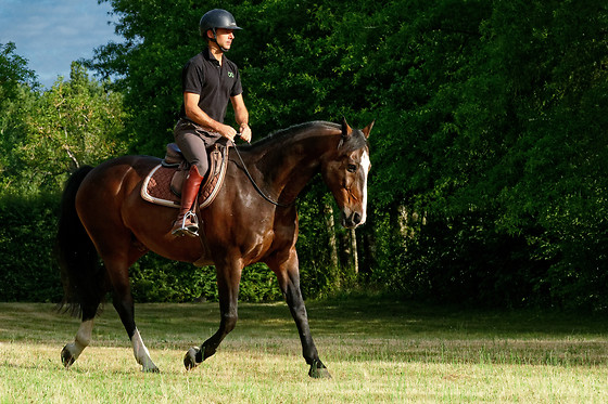 Haras de la Cense - photo 4
