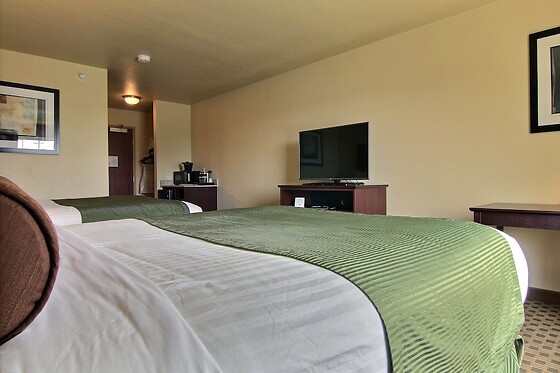 Online Booking EPS - photo 5