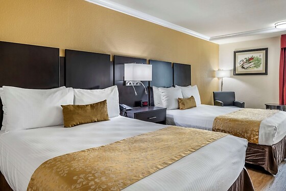 Online Booking EPS - photo 8