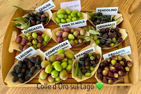 Colle d'Oro sul Lago - photo 14