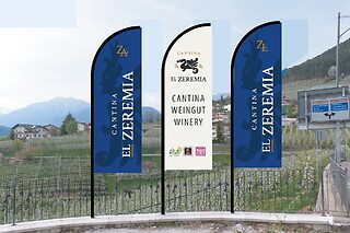 Visita guidata alla cantina con degustazione di vini e bottiglia in omaggio presso Cantina El Zeremia in provincia di Trento