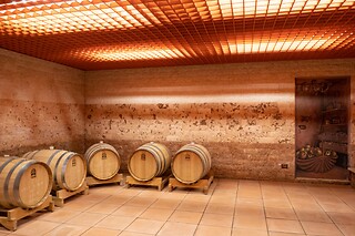 Visita guidata alla cantina con degustazione di vini e bottiglia in omaggio presso Cantina El Zeremia in provincia di Trento