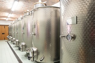 Visita guidata alla cantina con degustazione di vini e bottiglia in omaggio presso Cantina El Zeremia in provincia di Trento