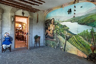 Visita guidata alla cantina con degustazione di vini e bottiglia in omaggio presso Cantina El Zeremia in provincia di Trento