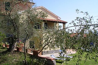 Visita guidata con degustazione di vino, prodotti tipici e omaggio enologico alla Cantina Il Monticello in provincia di La Spezia
