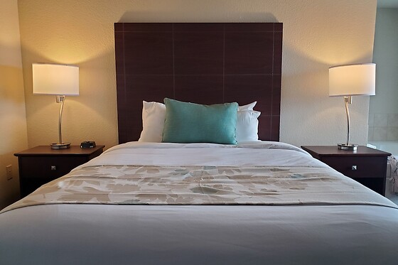 Online Booking EPS - photo 2