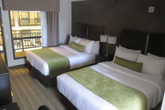 Online Booking EPS - photo 2