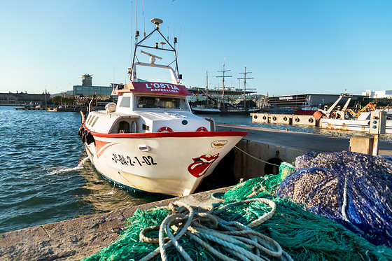 CAP A MAR - photo 0