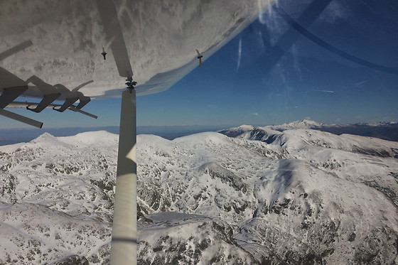 Flying Boxer - photo 1