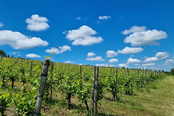 Tenuta di Aljano - photo 1