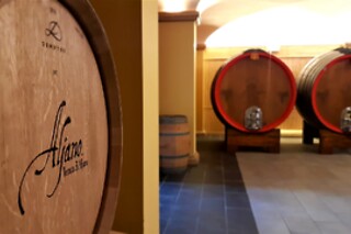 Visita alla cantina con degustazione di vini e prodotti tipici emiliani presso Tenuta di Aljano in provincia di Reggio Emilia